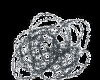 扫描电子显微镜的基本原理_扫描电子显微镜的主要性能_sem扫描电子显微镜的作用