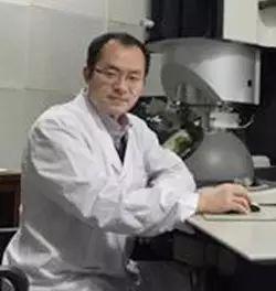 sem扫描电子显微镜实验报告_扫描电子显微镜实验结论_扫描电子显微镜的测试原理